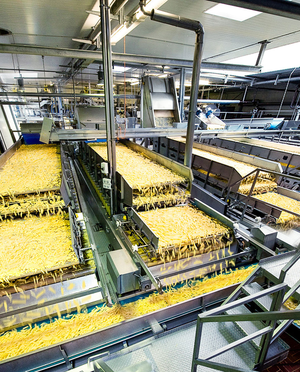 Pommes frites-Produktionslinie 